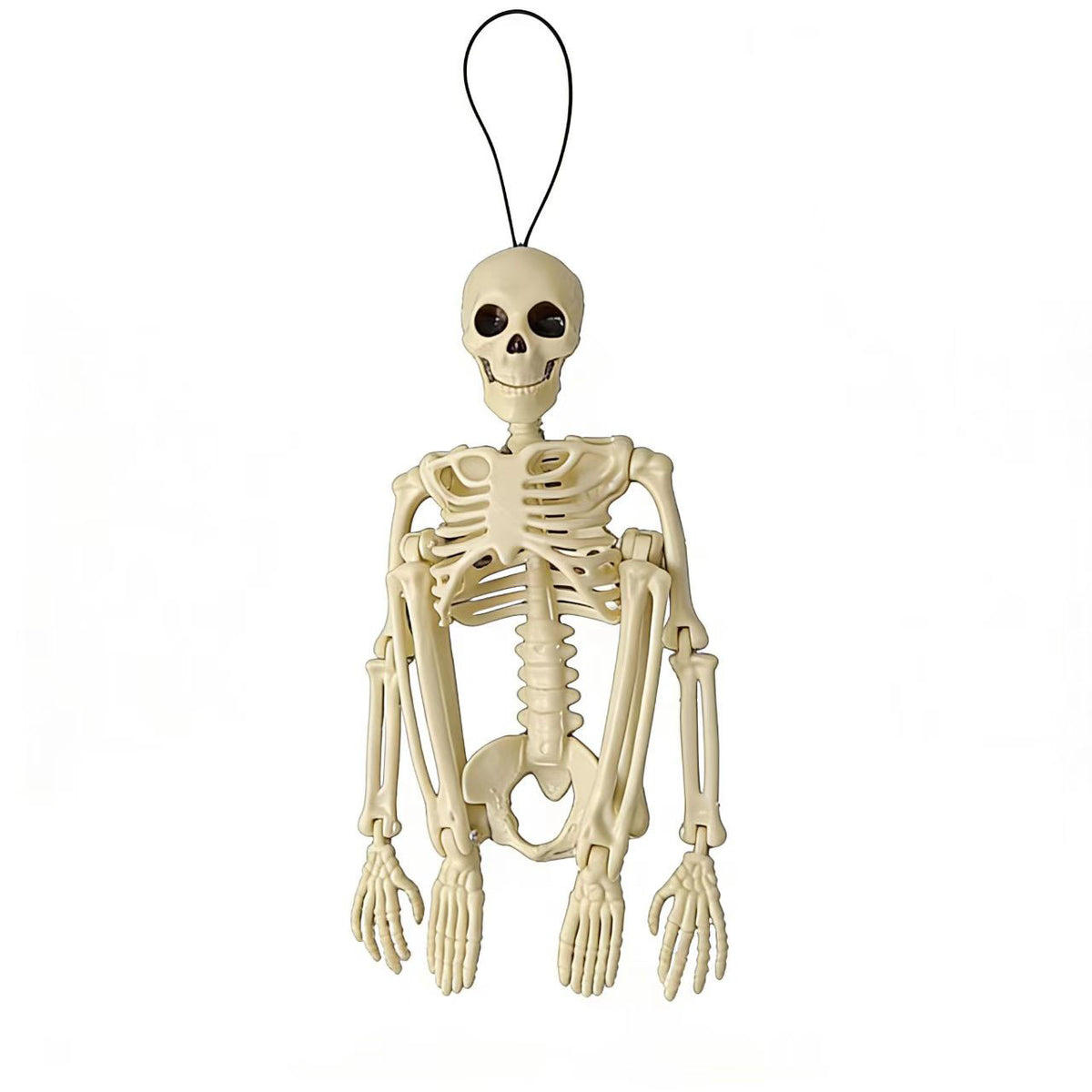 Halloween Skeleton