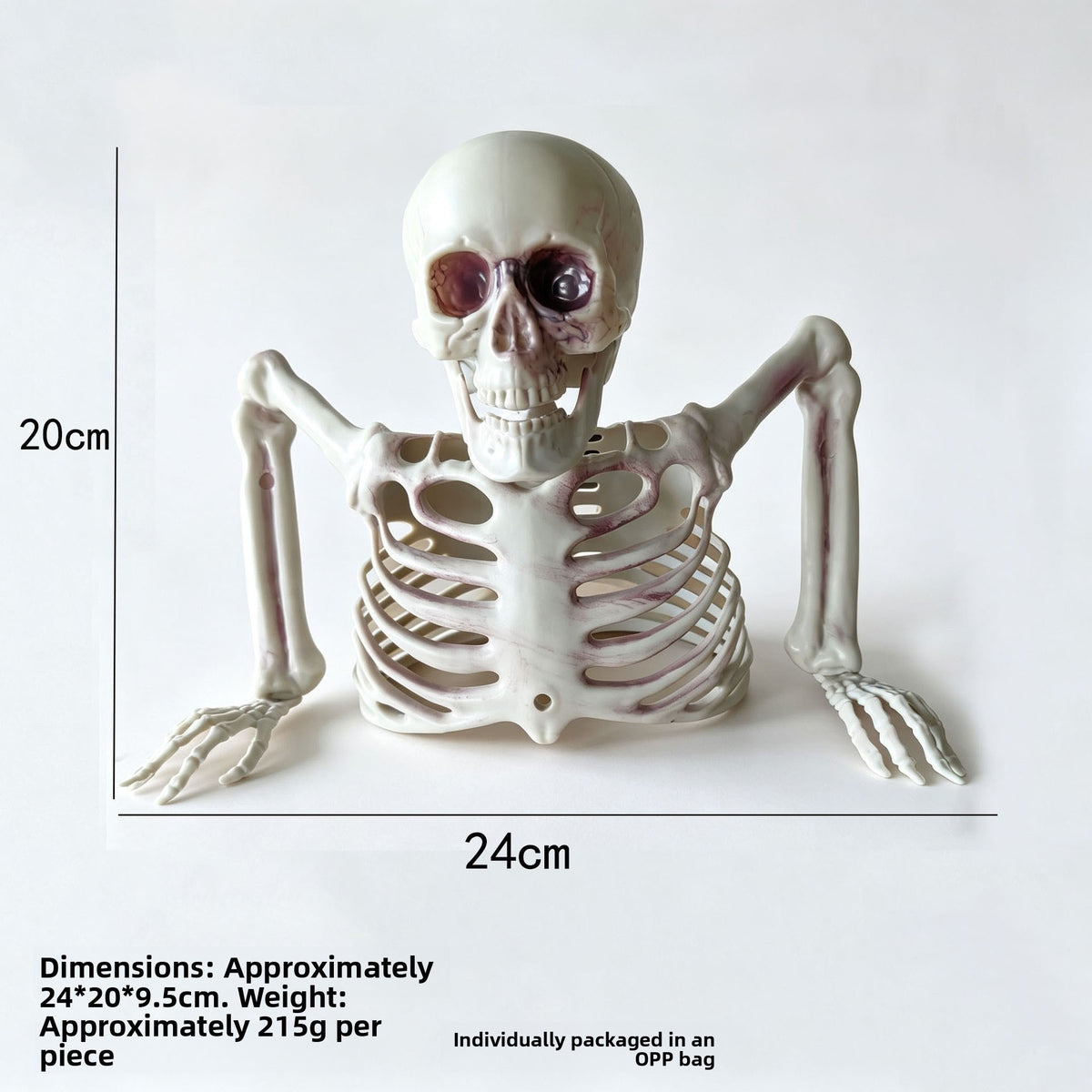 Halloween Skeleton