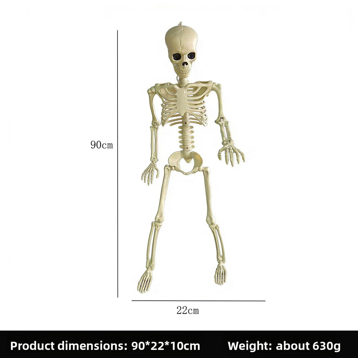 Halloween Skeleton