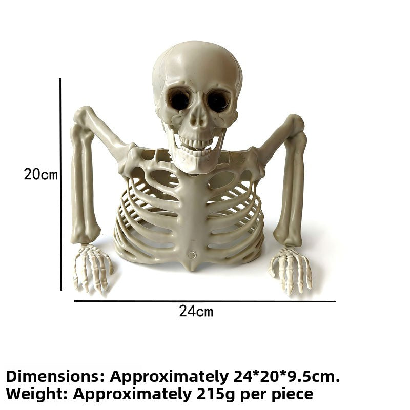 Halloween Skeleton