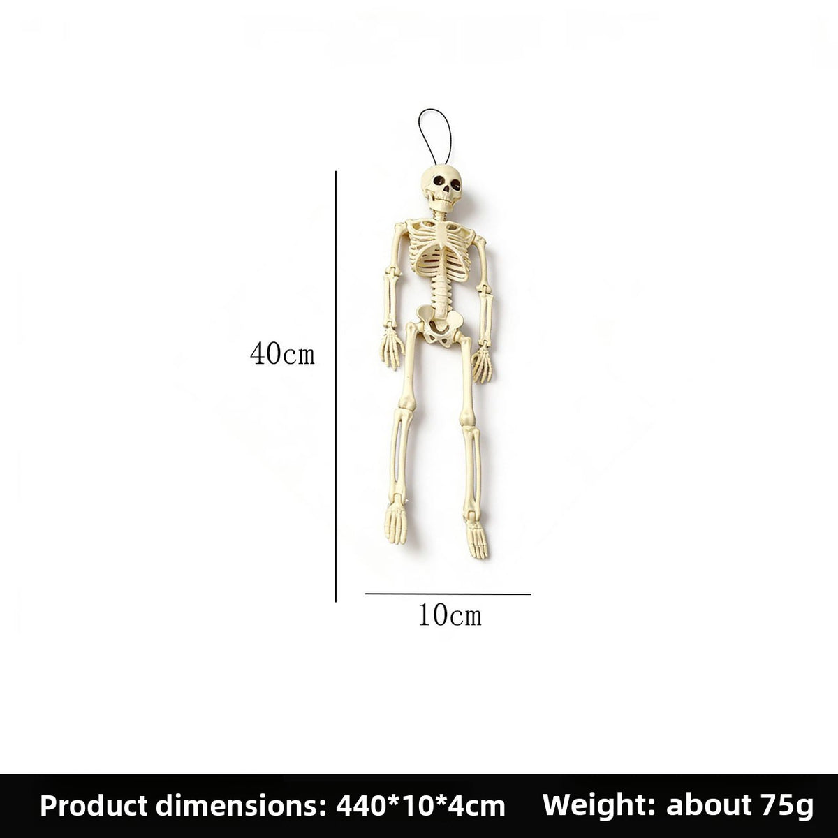 Halloween Skeleton