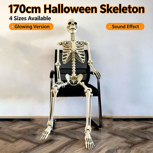 Human Size Skeleton